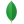 MongoDB